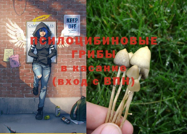 бошки Бронницы