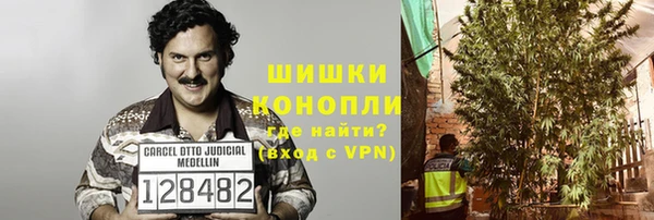 бошки Бронницы